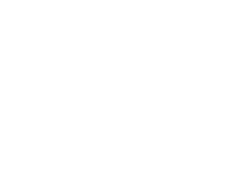 Schnelligkeit Schnelligkeit