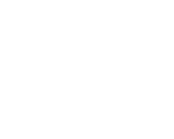 Solidarität Solidarität